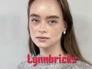 Lynnbricks