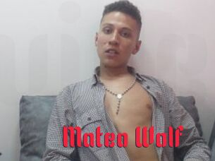 Mateo_Wolf