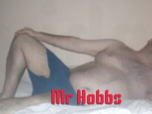 Mr_Hobbs