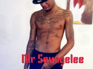 Mr_Savagelee