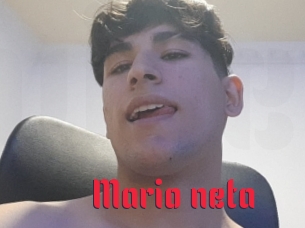 Mario_neta