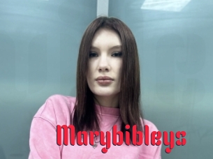 Marybibleys