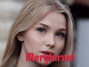 Merylarnet