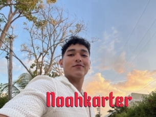 Noahkarter