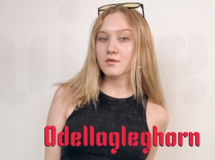 Odellagleghorn