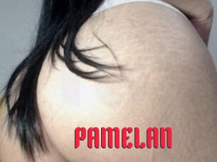 PAMELA_N