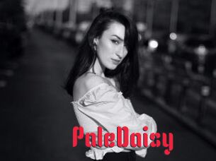 PaleDaisy