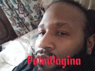 PalmVagina