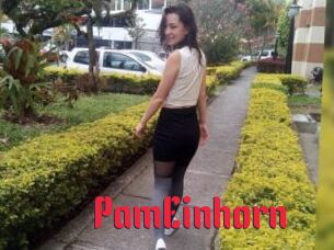 PamEinhorn