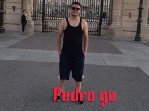 Pedro_go