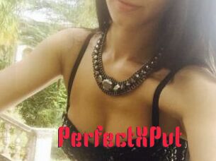 PerfectXPvt_