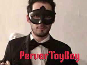 PerverToyBoy