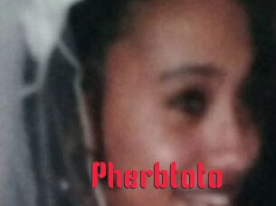 Pherbtoto