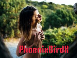 PhoenixBirdX