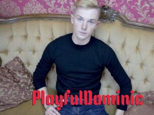 Playful_Dominic