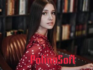 PolinaSoft