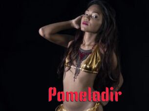 Pameladir