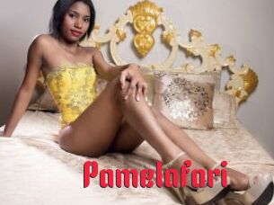 Pamelafori