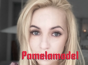 Pamelamodel