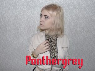 Panthergrey