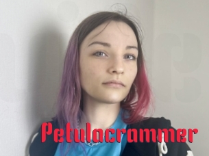 Petulacrammer