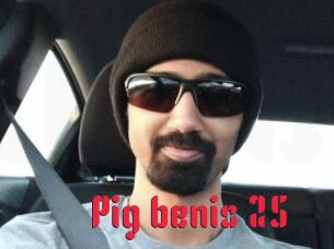 Pig_benis_25