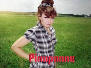 Pinupanne