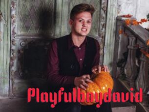 Playfulboydavid