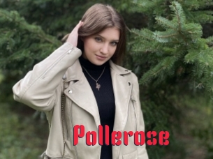 Pollerose