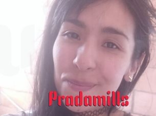 Pradamills