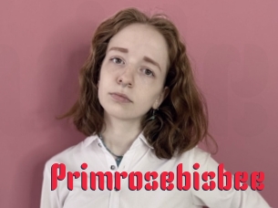 Primrosebisbee