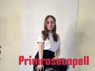 Primrosecapell