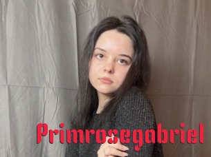 Primrosegabriel