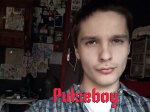 Pulseboy