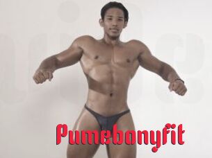 Pumebonyfit