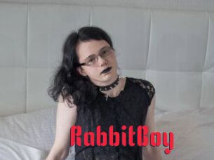 RabbitBoy