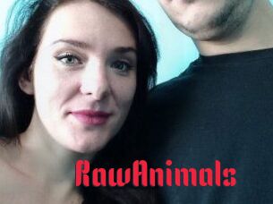 RawAnimals