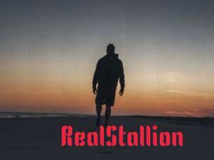 RealStallion