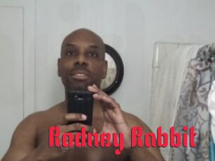 Rodney_Rabbit