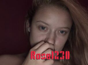 Rose1230