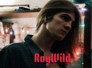 RoyWild