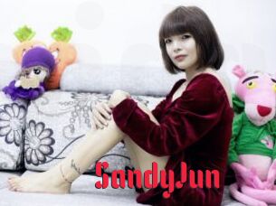 SandyJun