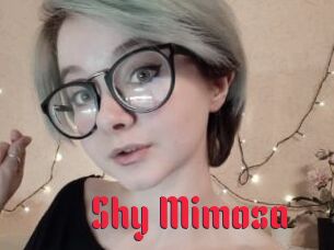 Shy_Mimosa