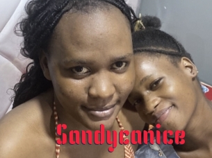 Sandycanice