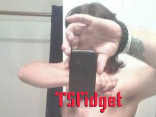 TSFidget