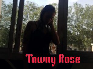 Tawny_Rose