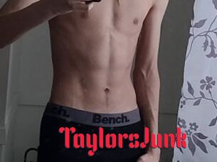 TaylorsJunk