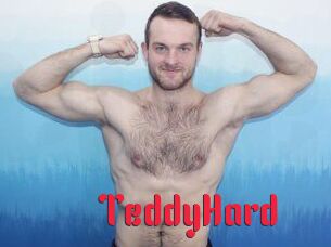 TeddyHard