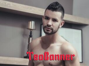 TeoBanner