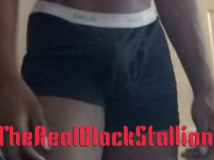 TheRealBlackStallion1